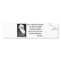 Charles Darwin Quote 6b bumper stickers by atheist_store Charles Darwin Quote 6b bumper stickers