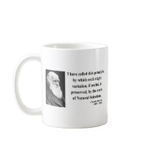 Charles Darwin Quote 6b mugs