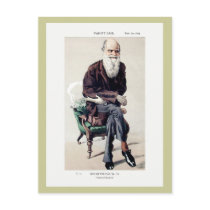 Charles Darwin Vanity Fair Illustration postcards