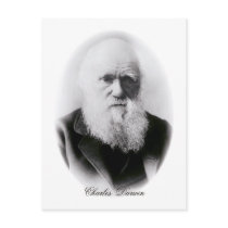 Charles Darwin Vignette Post Cards