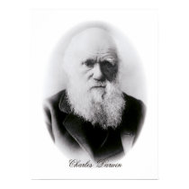 Charles Darwin Vignette posters