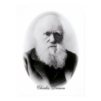 Charles Darwin Vignette Poster by ShovelTest