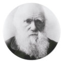 Charles Darwin Vignette stickers