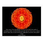 Charles Hermite quotation about math and truth Postcard