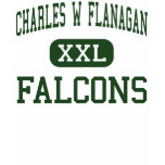 flanagan falcons