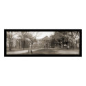 Charleston College SC Photo 1909 posters