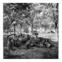 Charleston, S.C. "Confederate Army" Arsenal yard. posters by montley Charleston, S.C. "Confederate Army" Arsenal yard. posters