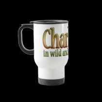 Charleston, West Virginia mugs