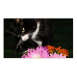 Charli Cat and Flowers Business Card Templates