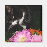 Charli Cat and Flowers Fridge Magnet