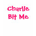 Ladies Petite T-Shirt