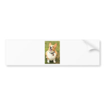 Charlie Bumper Sticker