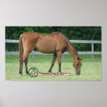 Charlie Horse Print