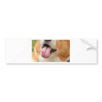 Charlie Kisses Bumper Stickers