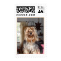 CHARLIE postage by princess206877 CHARLIE postage