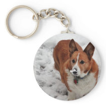 Charlie Snow Snout Key Chains
