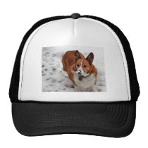 Charlie Snow Snout Mesh Hat