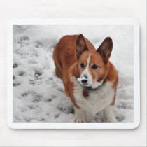 Charlie Snow Snout Mouse Pad