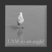 Charlie the lonely seagull - I am so an eagle! magnets