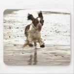 Charlie The Springer Mousepads