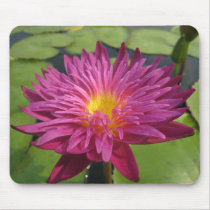 Charlie's Pride mousepads