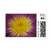 Charlie's Pride postage