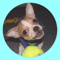 Charlie's Round Sticker stickers