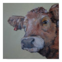 Charlois highlander cow takes a peek posters