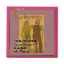 Charlotte Name Magnet by Practicaps Charlotte Name Magnet