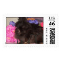 Charlotte postage