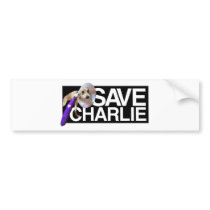 Charmander Bumper Sticker