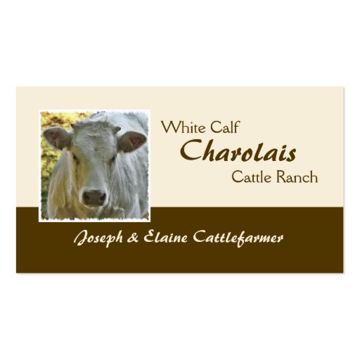 Charolais beef business card (front side)