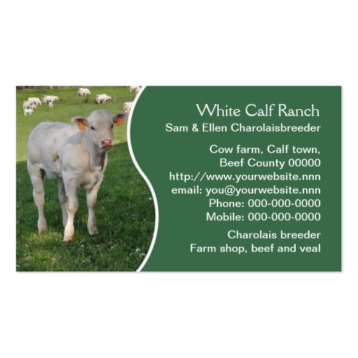 Charolais beef cattle business card (front side)
