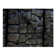 Charred Tree Bark Post Cards