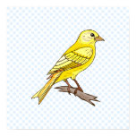 Charry Canary Print