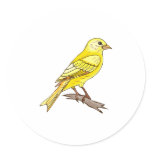 Charry Canary Stickers
