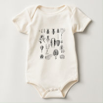 Chart of Insect Parts t-shirts