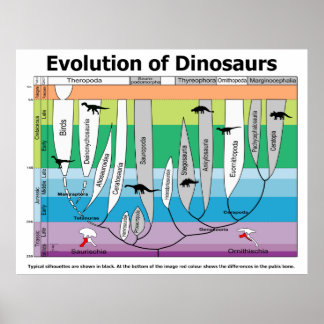 Evolution Chart Posters, Evolution Chart Prints, Art Prints, Poster Designs