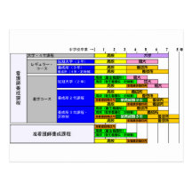 Chart of the Japanese nursing teacher training lev Post Card