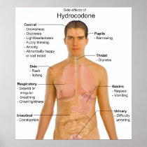 Chart of the Side Effects of Opioid Hydrocodone Posters