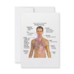Chart of the Symptoms of Pneumonia Personalized Invitation