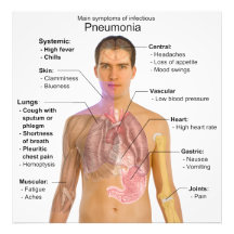 Chart of the Symptoms of Pneumonia Photo Art