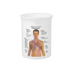 pneumonia, symptoms of pneumonia, disease,...