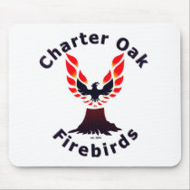 Charter Oak Firebirds mousepads