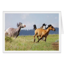 Chase cards by brookhouse Chase cards