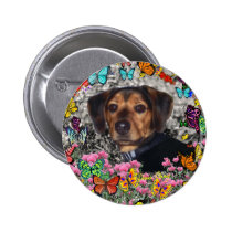 Chase in Butterflies Button buttons