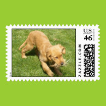 Chase ME! postage stamps