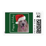 chase stamp