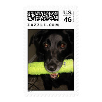 Chase with toy postage