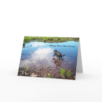 Chase Your Dreams Greeting Card by CreatureCreations Chase Your Dreams Greeting Card
